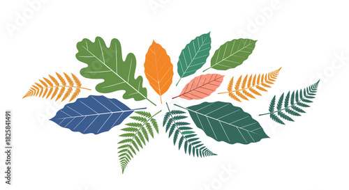 Colorful collection of various stylized autumn leaves and ferns arranged in a gentle arc against a plain white background.