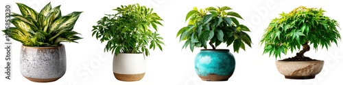 Collection of indoor plants in decorative ceramic pots, showcasing vibrant greenery and unique pot designs, perfect for home decor