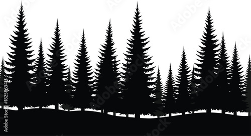Silhouette of evergreen trees against white background in forest landscape
