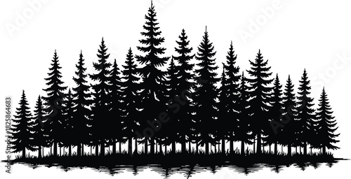 Silhouette of a dense evergreen forest with reflections in water