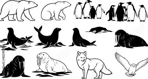 Arctic & Antarctic Animal Silhouette Bundle – Polar Bears, Penguins, Seals, Walrus & Arctic Fox