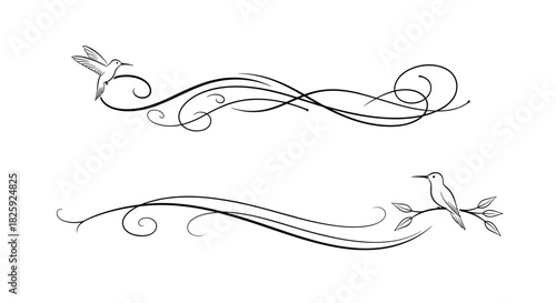 Calligraphic decorative dividers featuring birds and flowing designs