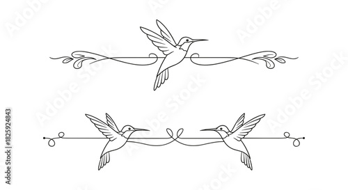 Delicate decorative dividers featuring hummingbirds and floral accents