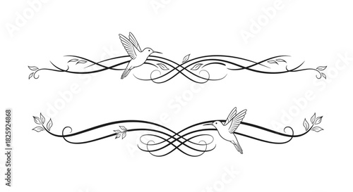 Elegant decorative dividers featuring hummingbirds and flowing floral designs