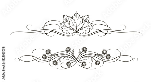 Elegant decorative dividers featuring burdock leaves and floral motifs