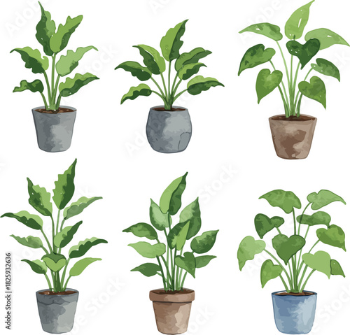 Watercolor potted houseplants collection for modern home decor
