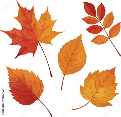 Watercolor styled autumn leaves collection seasonal vector art