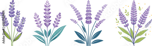 Outline lavender flowers in delicate botanical style representing calming floral minimal artwork for creative projects