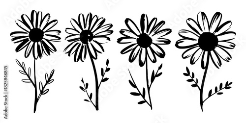Black and White Hand-Drawn Daisy Flowers with Stems and Leaves