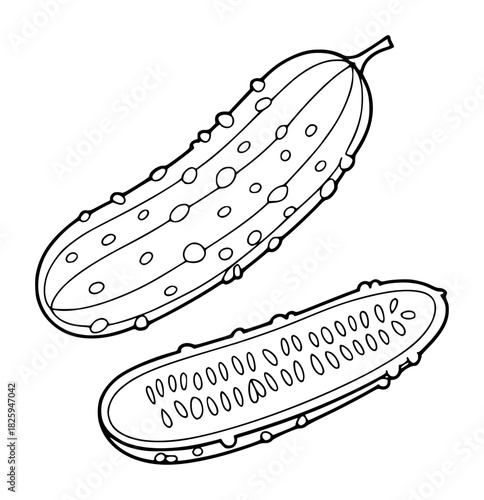 Black and White Line Drawing of a Whole and Halved Cucumber