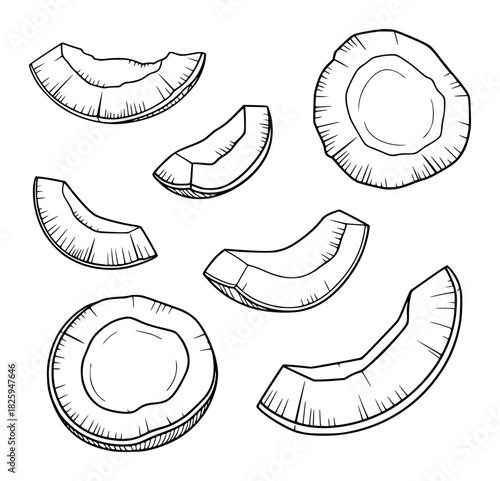 Hand-drawn illustration of coconut slices and halves on a white background