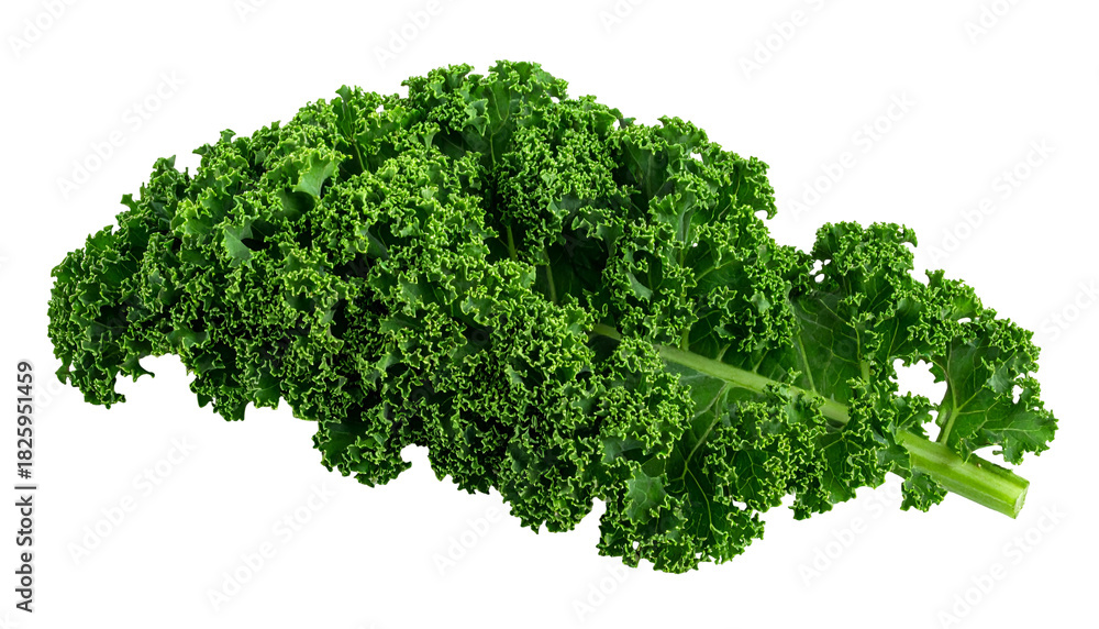 Obraz premium Close-up of a single vibrant green leafy vegetable on a solid black background