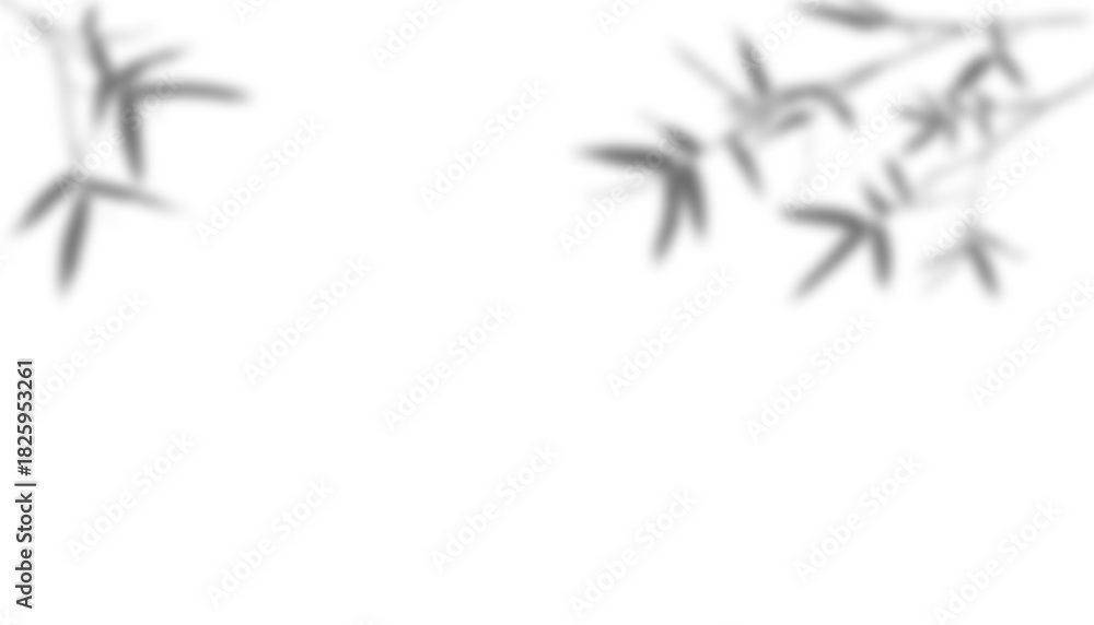 Naklejka premium Blurred shadow of gray bamboo branches and leaves. Natural decoration on isolated white background.