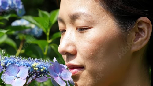 Close-up of a woman enjoying blooming hydrangeas in a lush garden