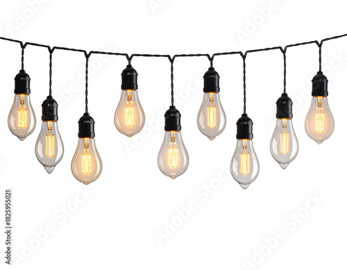 Decorative string lights with edison bulbs isolated on transparent background