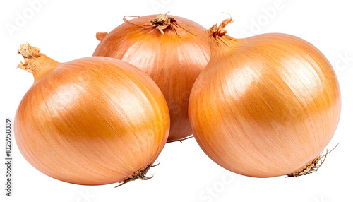 Wallpaper Mural Three round, brown-skinned onions, bulbs touching, against a black backdrop, lit softly Torontodigital.ca