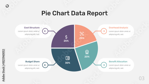 Pie Chart Data Report