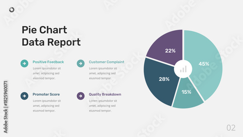 Pie Chart Data Report