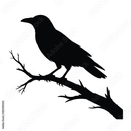Crow perched on branch Vector, Silhouette, Illustration