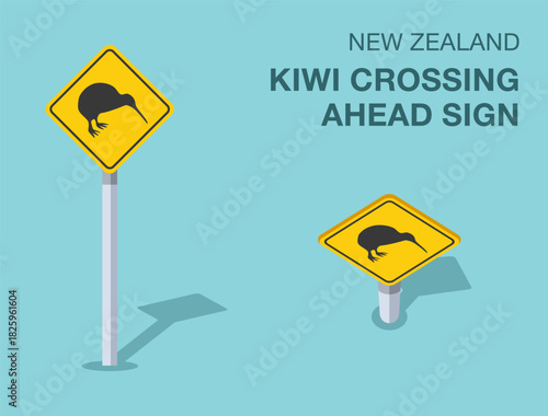 Traffic regulation rules. Isolated New Zealand "kiwi crossing ahead" road sign. Front and top view. Flat vector illustration template.