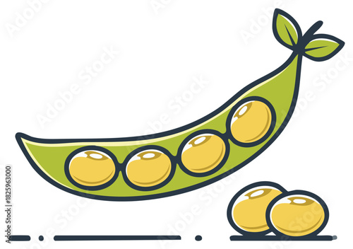 Fresh green pea pod with bright yellow peas healthy organic vegetable food ingredient illustration