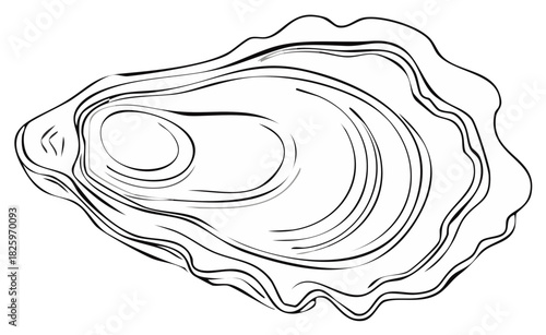 Elegant Line Art Illustration of Oyster Shell: Simple Seafood Silhouette for Culinary Concepts