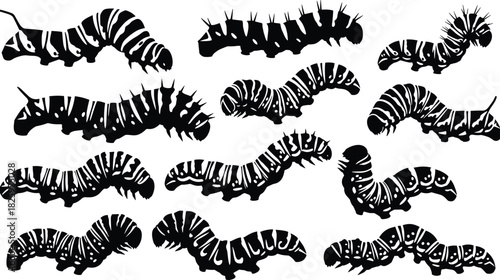 Collection of caterpillar silhouettes in various crawling poses, detailed insect larva vector illustrations for biology, nature, entomology, wildlife and education design