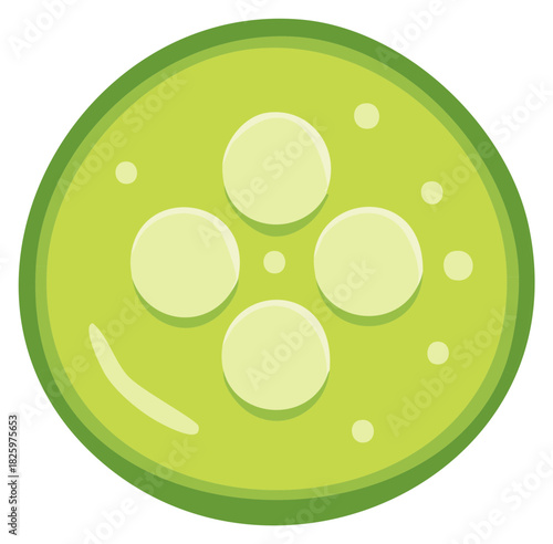 Cartoon Cucumber Slice Green Vegetables Healthy Food Ingredient Vector Illustration