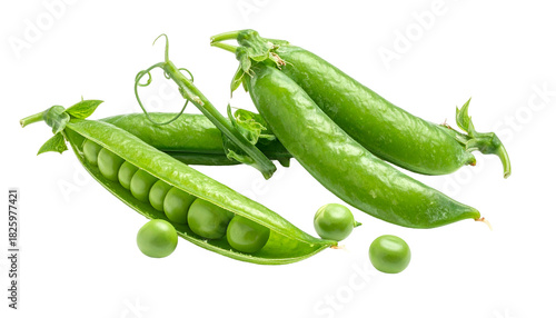 Close-up studio shot of several fresh green pea pods, some open, on a black background