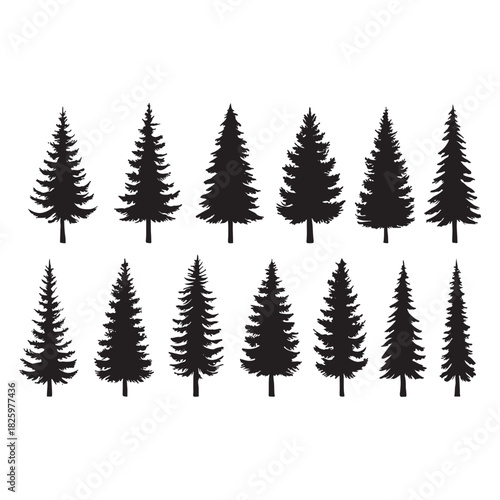 tree icon set. Fir Tree silhouettes vector illustration