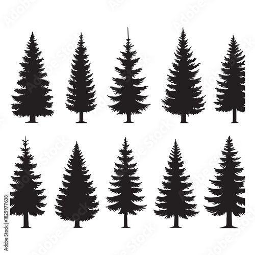 tree icon set. Fir Tree silhouettes vector illustration