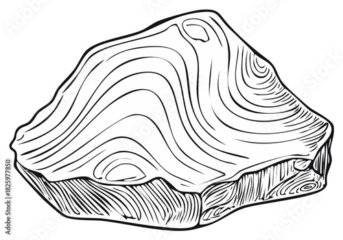Detailed line art illustration of raw fish fillet or meat cut with natural textures