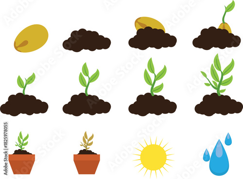 Growing process icon set sun water elements vector