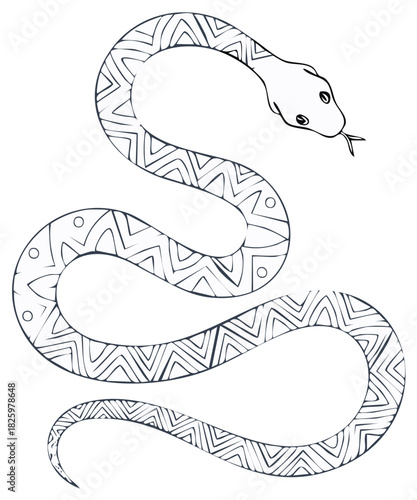 Stylized coiled snake line art illustration with intricate tribal patterns and forked tongue