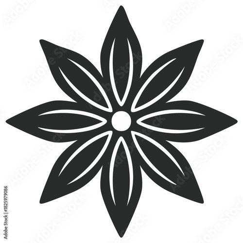 Black Star Anise Isolated, Aromatic Spice, Decorative Floral Element