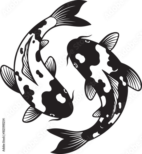 Two black and white koi fish swimming in a circular pattern