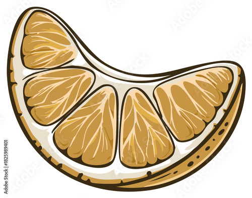 Citrus Segment Illustration Graphic Half Slice of Orange Fruit with Peel