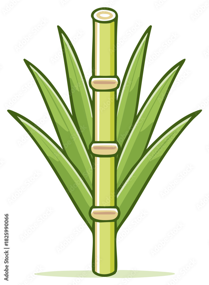 Obraz premium Isolated Sugarcane Stalk with Green Leaves Simple Vector Cartoon Illustration