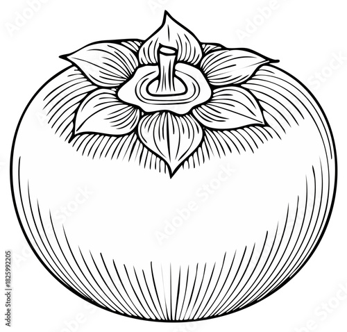 Line Art Illustration of a Persimmon Fruit with Intricate Leafy Crown