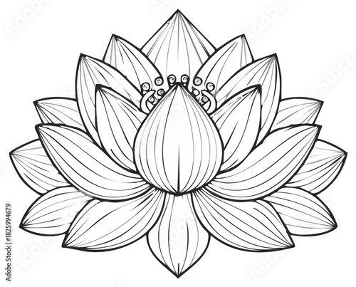 Elegant Lotus Flower Black and White Line Art Drawing Simple Spiritual Meditation Symbol