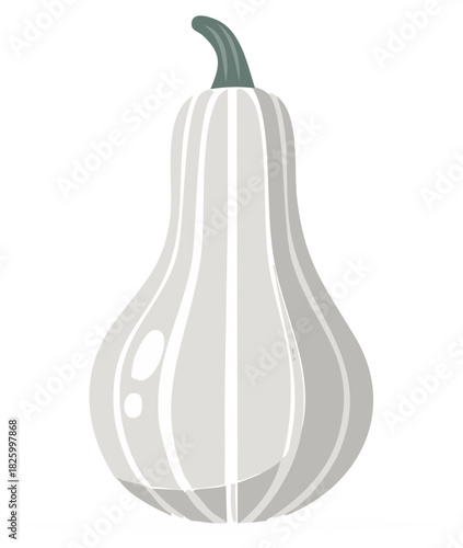Elegant white striped squash gourd illustration for autumn harvest design