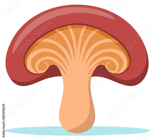 Cartoon wild mushroom with a red cap and stylized gills, vector fungus illustration