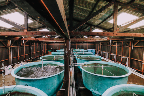 Foto Fish Hatchery Pond with Worker Monitoring Aquaculture Tanks