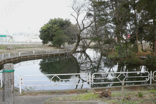 日本：逆木（さかさぎ）の池／武士と柳の杖の伝説がある場所／埼玉県鶴ヶ島市