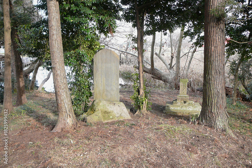 日本：逆木（さかさぎ）の池／池の横にある石碑／埼玉県鶴ヶ島市
