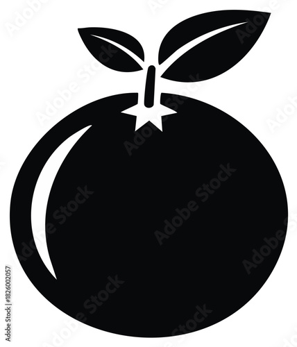 Black and White Orange Fruit Illustration
