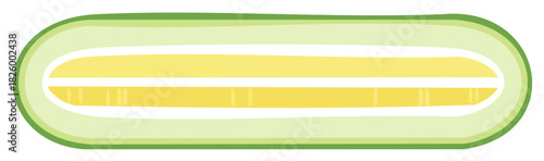 Fresh green cucumber cut lengthwise in half to show the inside isolated vector illustration