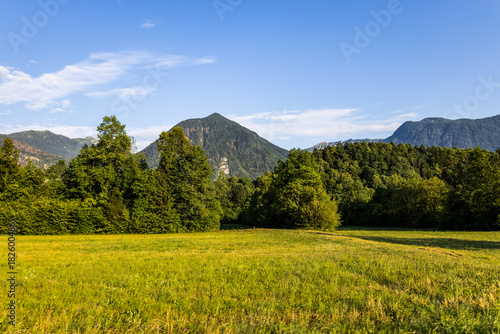 wilderness landscape with mountain range, dense forests and open meadow under clear blue sky. alpine meadow with lush green grass