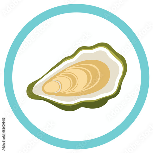 Vector graphic illustration of an opened oyster shell within a blue circular frame.