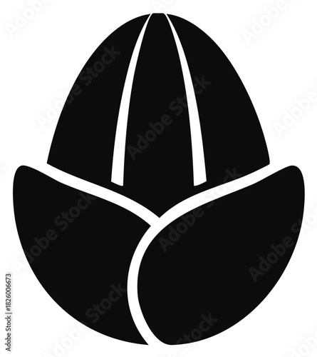 Stylized Black Silhouette of a Closed Flower Bud Opening